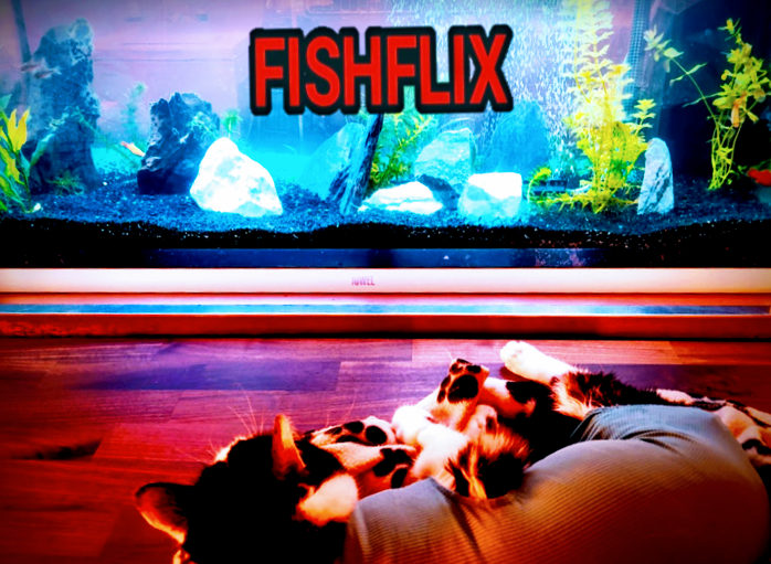 fishflix